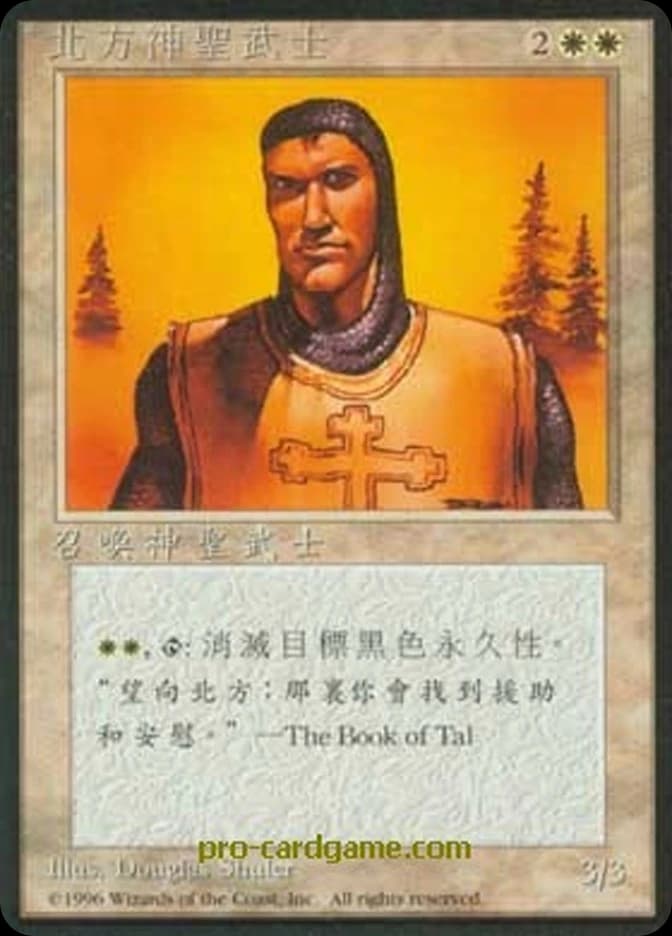 Northern Paladin