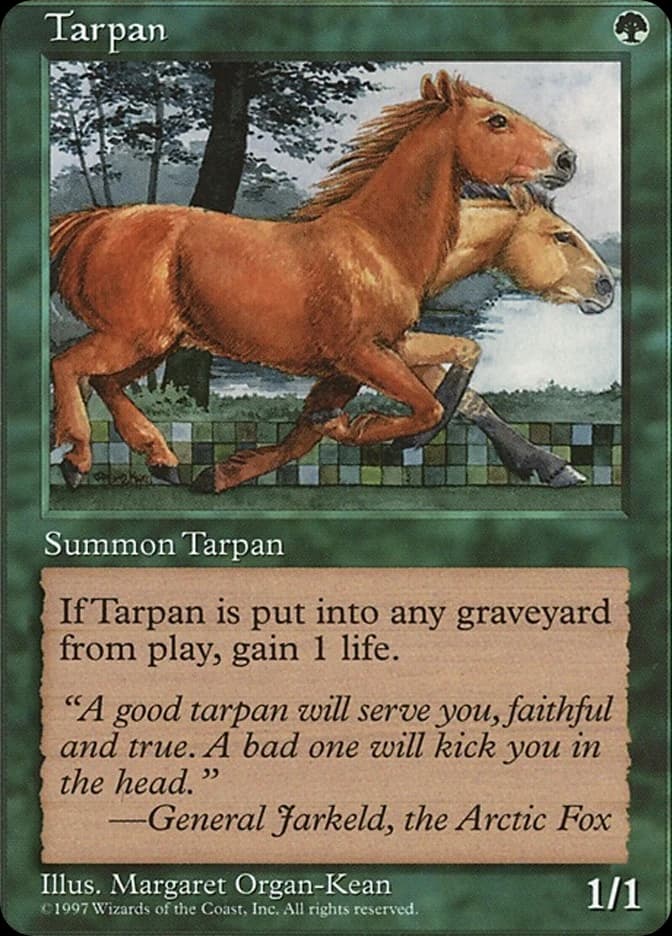 Tarpan