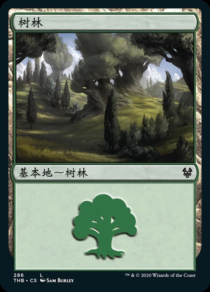 Forest