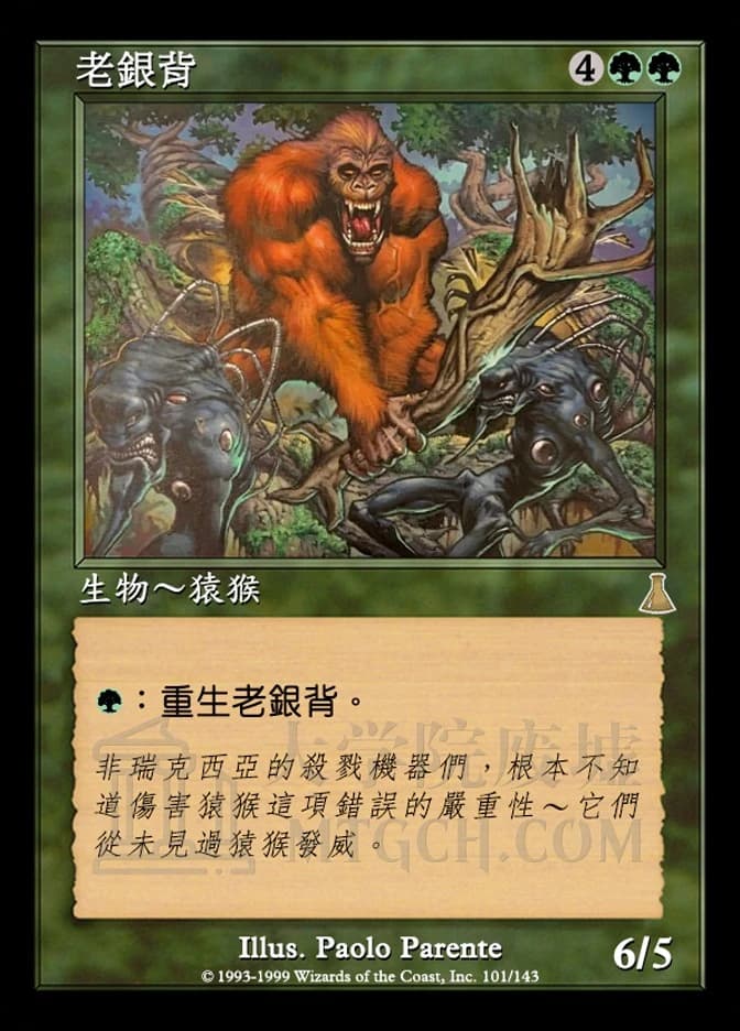 Ancient Silverback