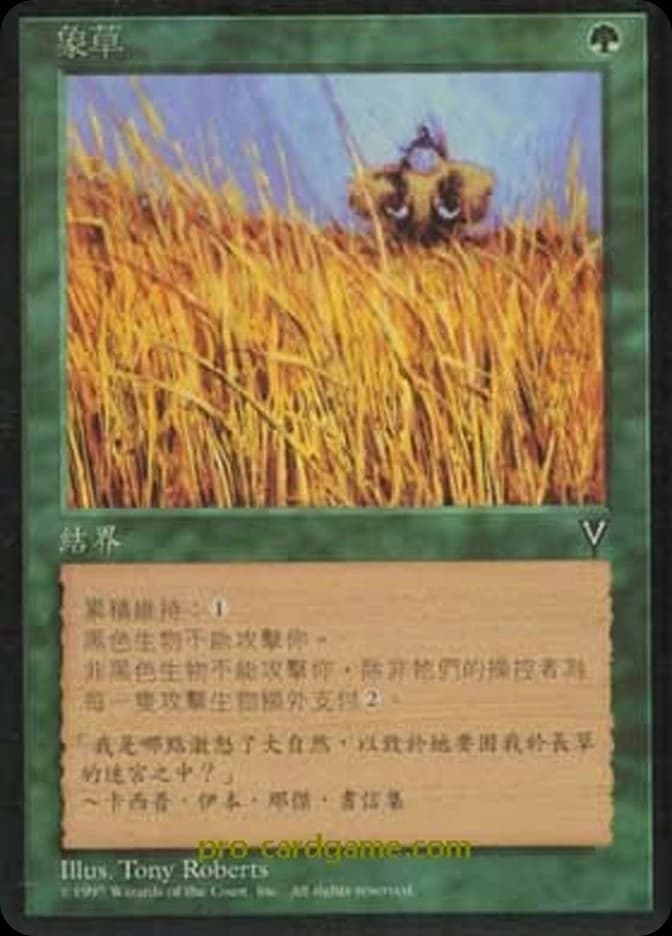 Elephant Grass