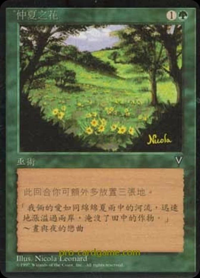 Summer Bloom