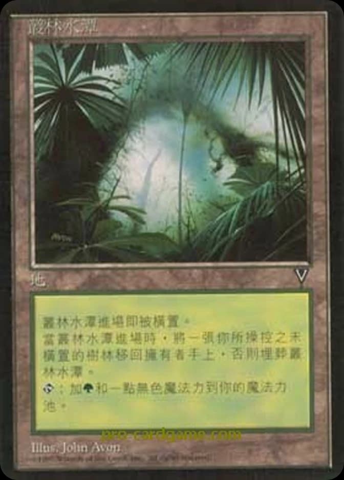 Jungle Basin