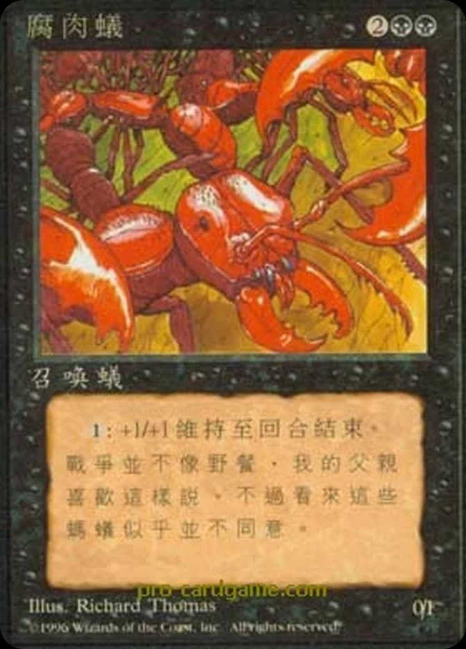 Carrion Ants